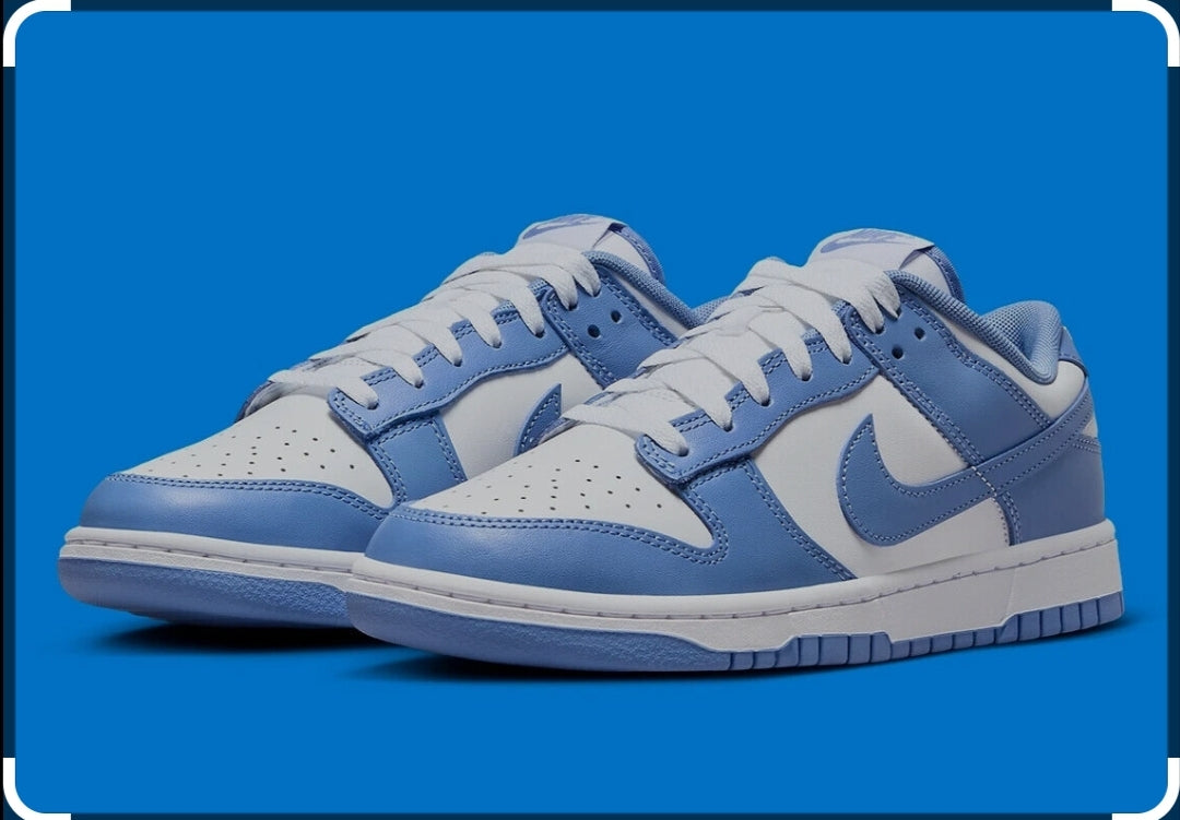 Dunk low Polar Blue