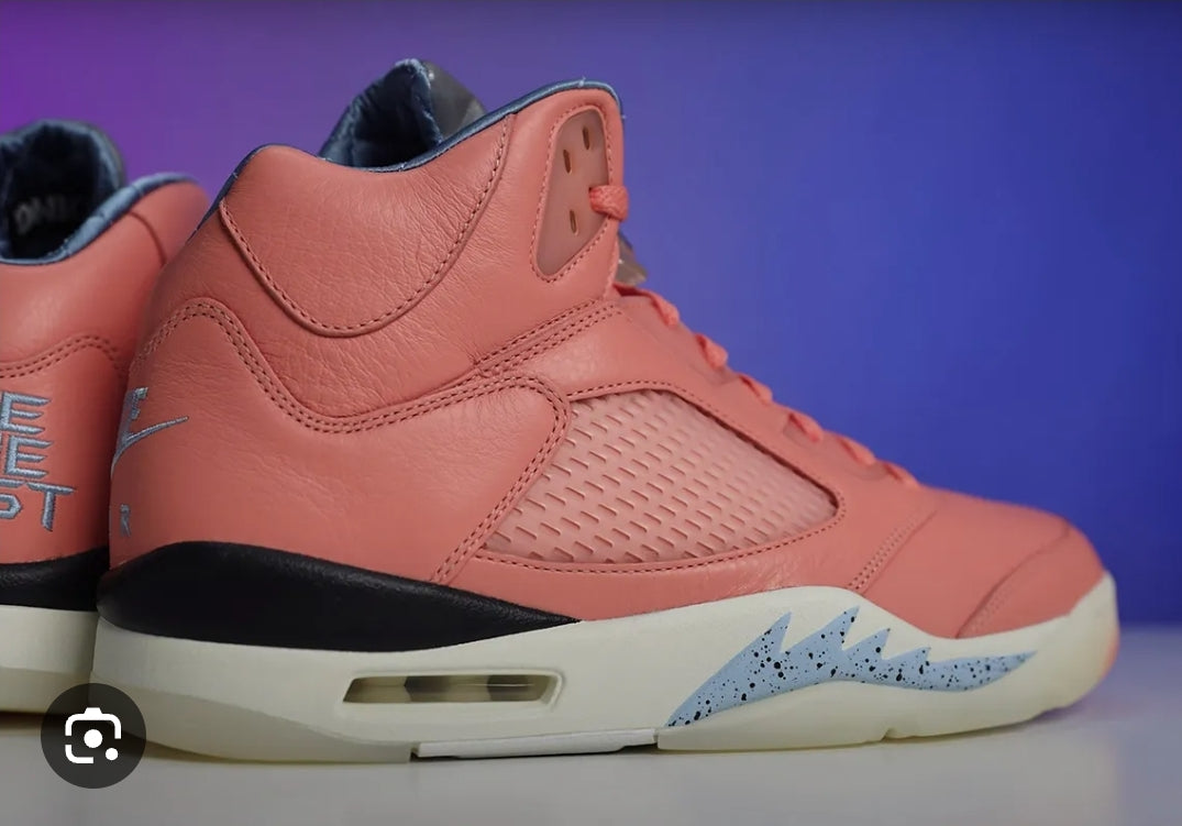 Jordan 5 Dj KHALED  WE