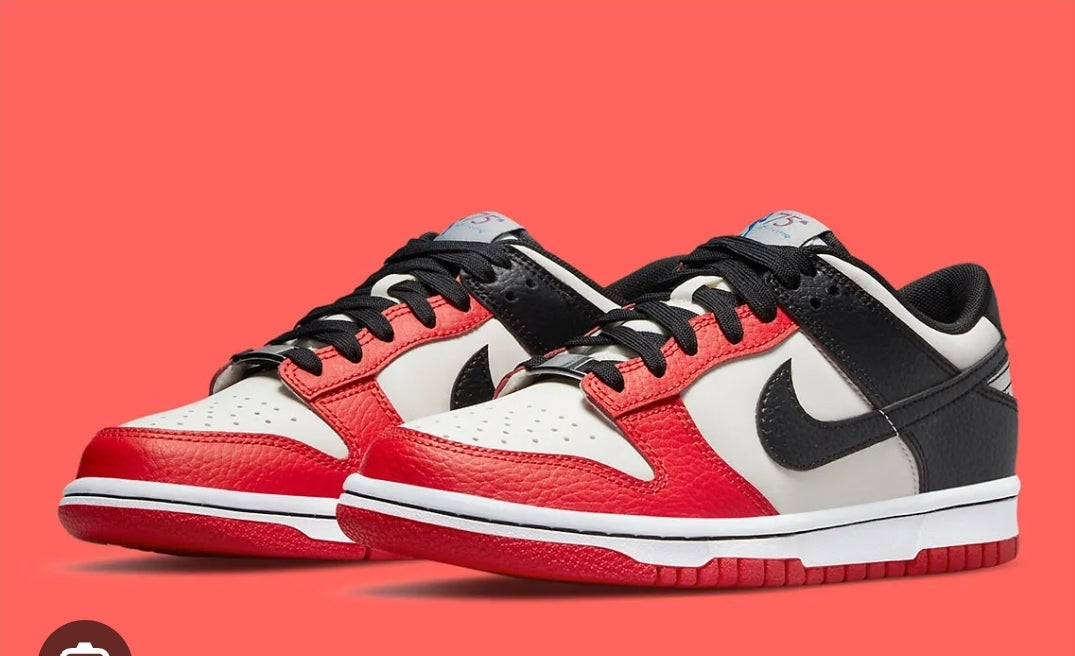 Dunk Low NBA Chicago 75TH