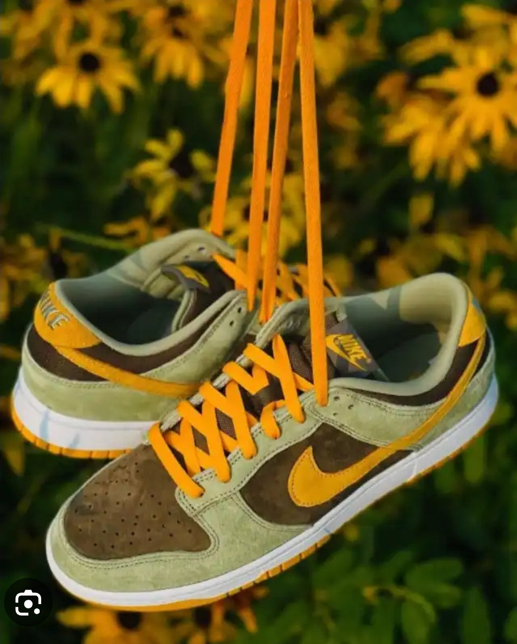 Dunk Low Dusty Olive